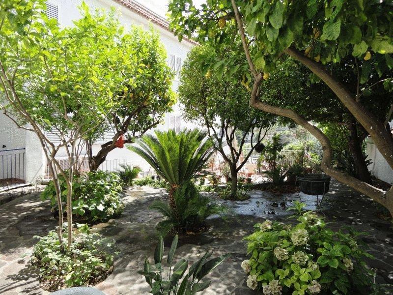Hotel Candia Casamicciola Terme Exterior foto